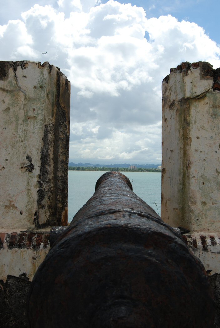 Cannon guarding thr port