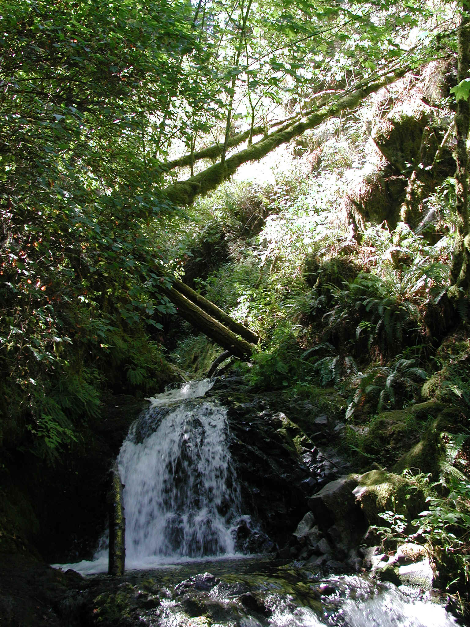 DSCN4324.JPG (1219607 bytes)