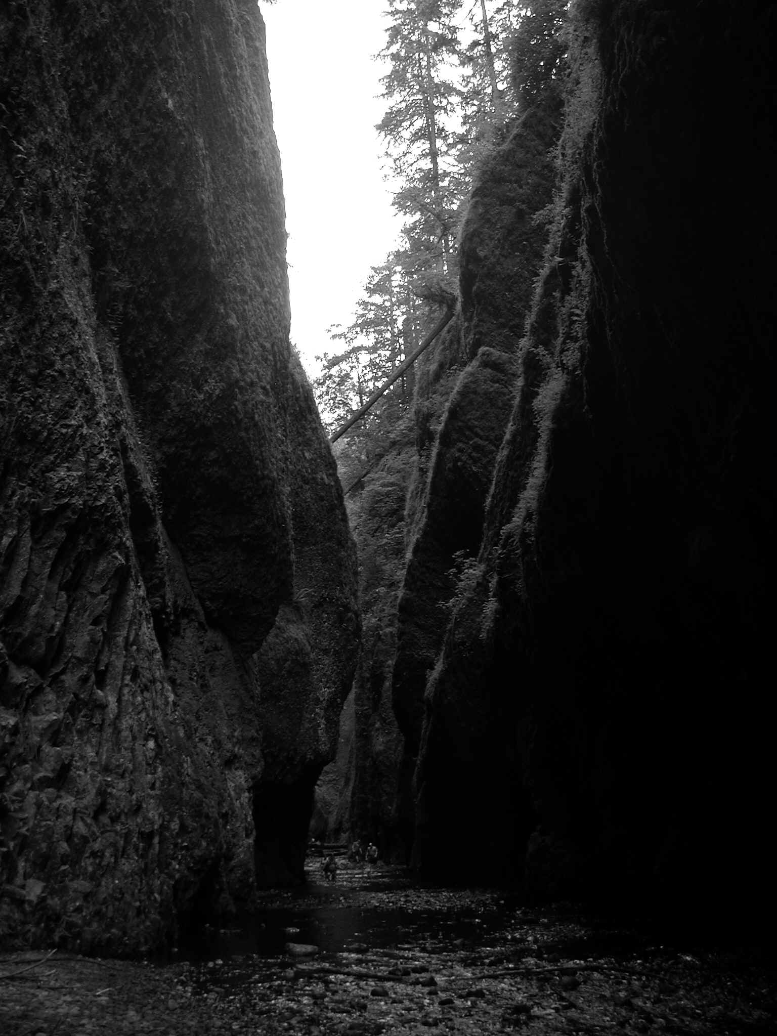 Oneonta Gorge, Columbia River