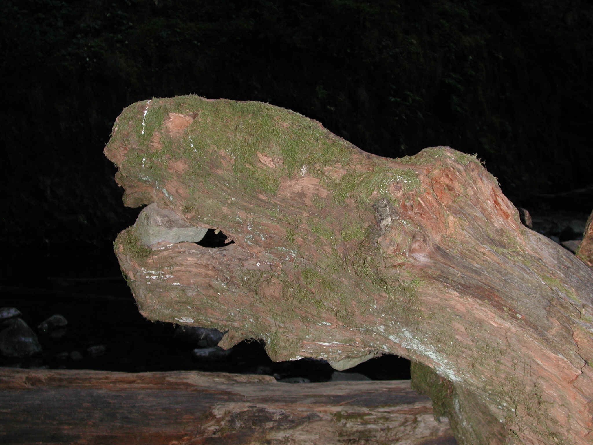 DSCN4410.JPG (924183 bytes)