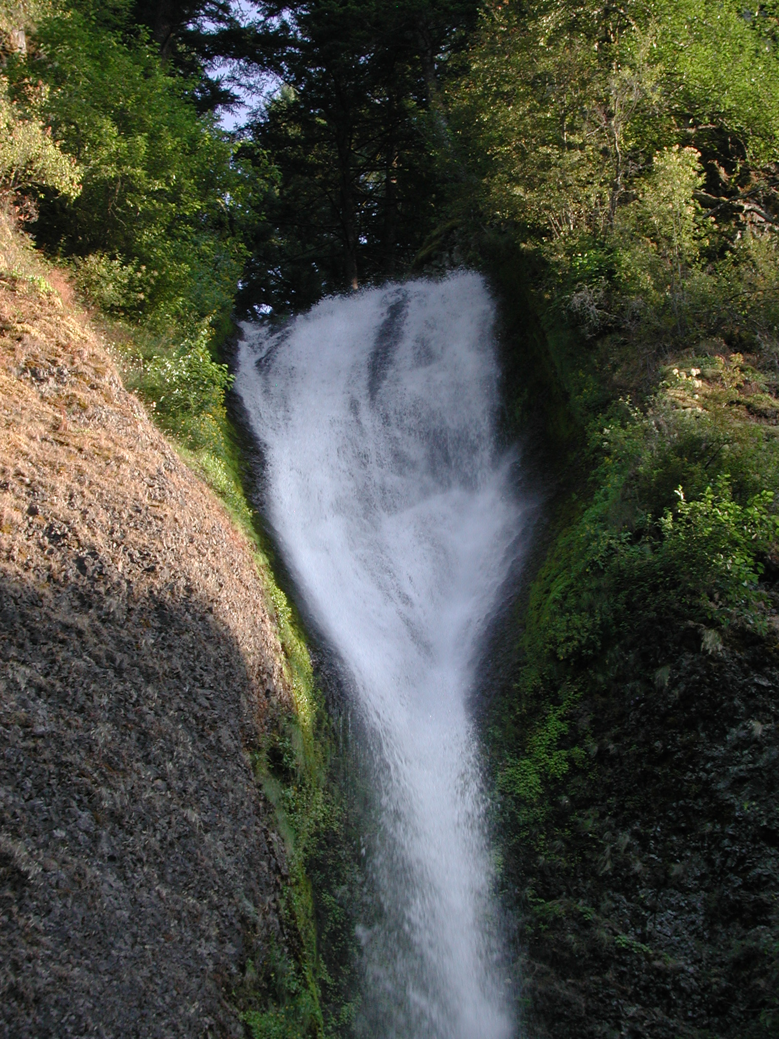 DSCN4427.JPG (1075822 bytes)