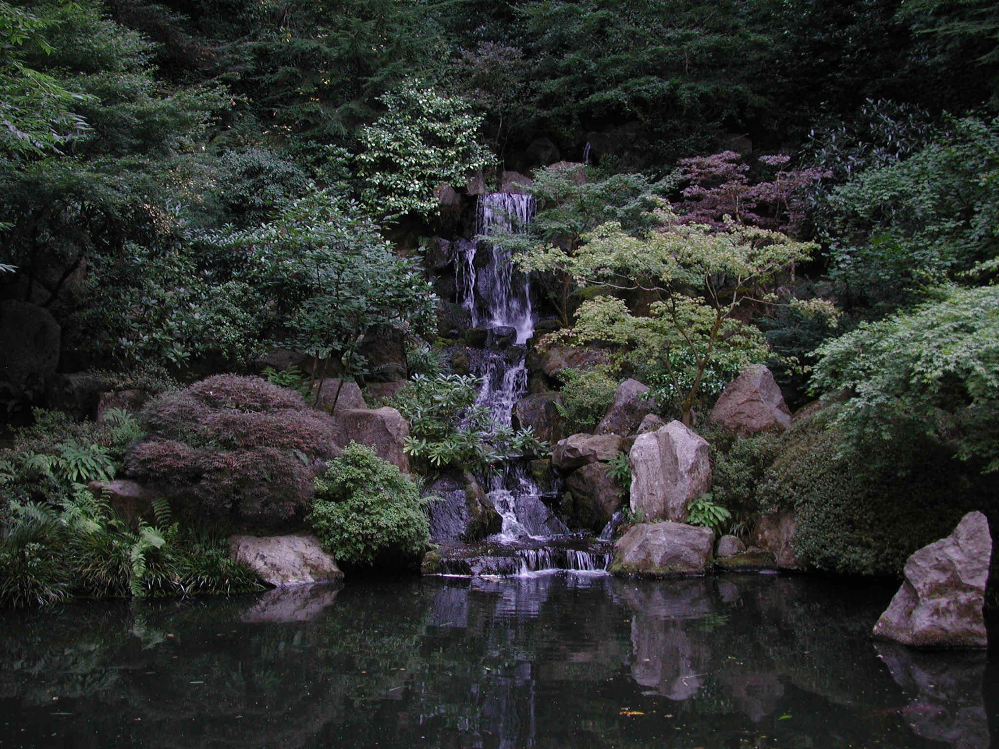 DSCN4478.JPG (1120102 bytes)