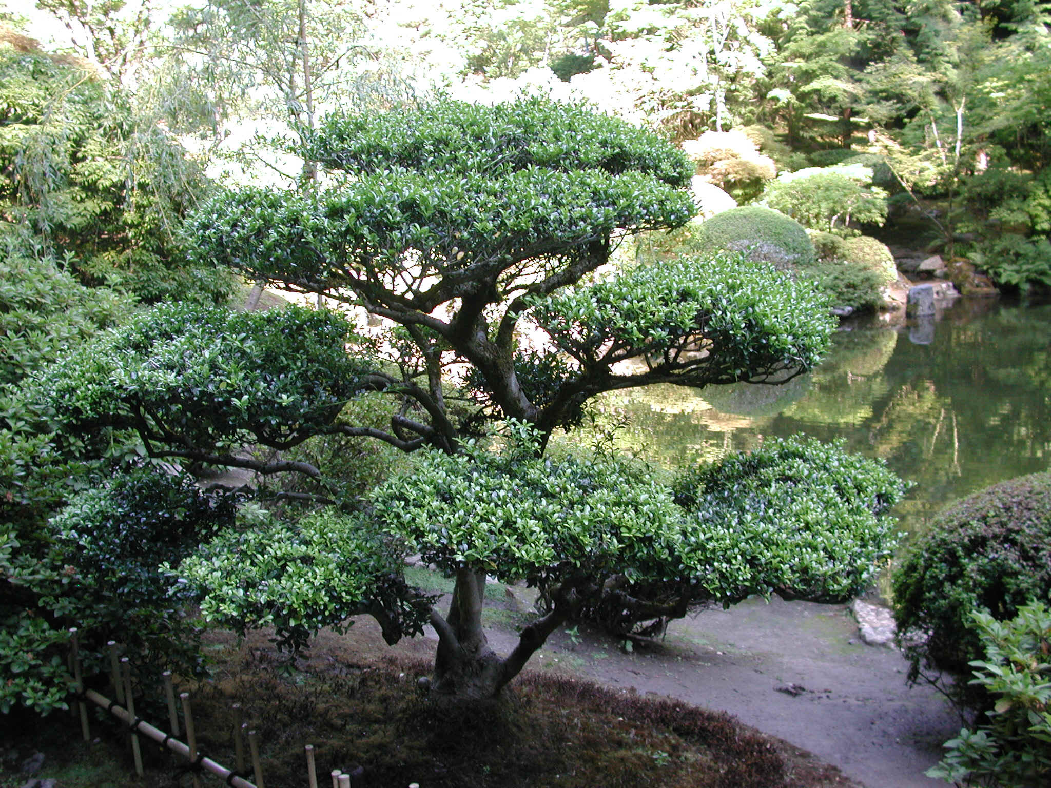 DSCN4494.JPG (1210521 bytes)