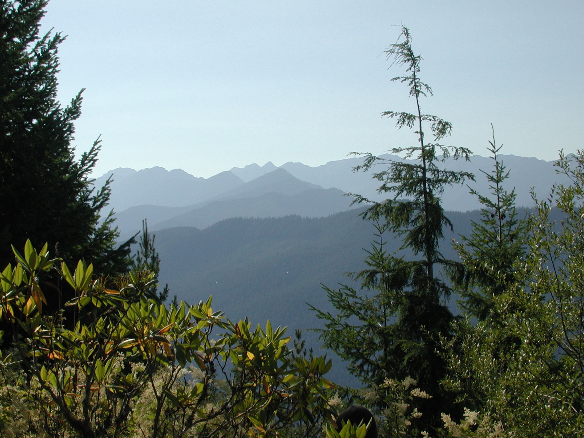 Walker Mtn. Washington