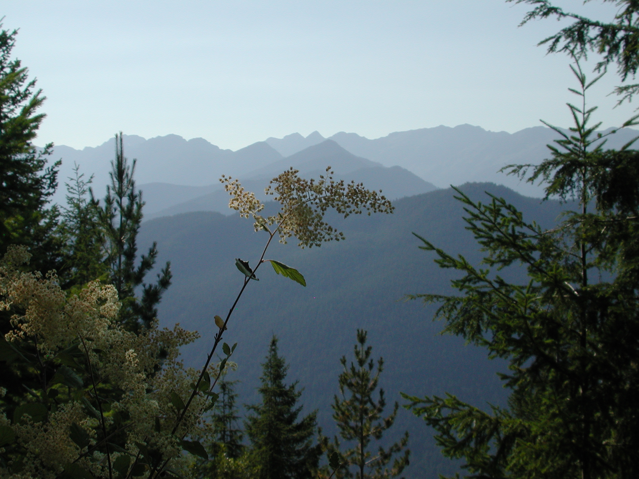 Olympic Mountains, Washington