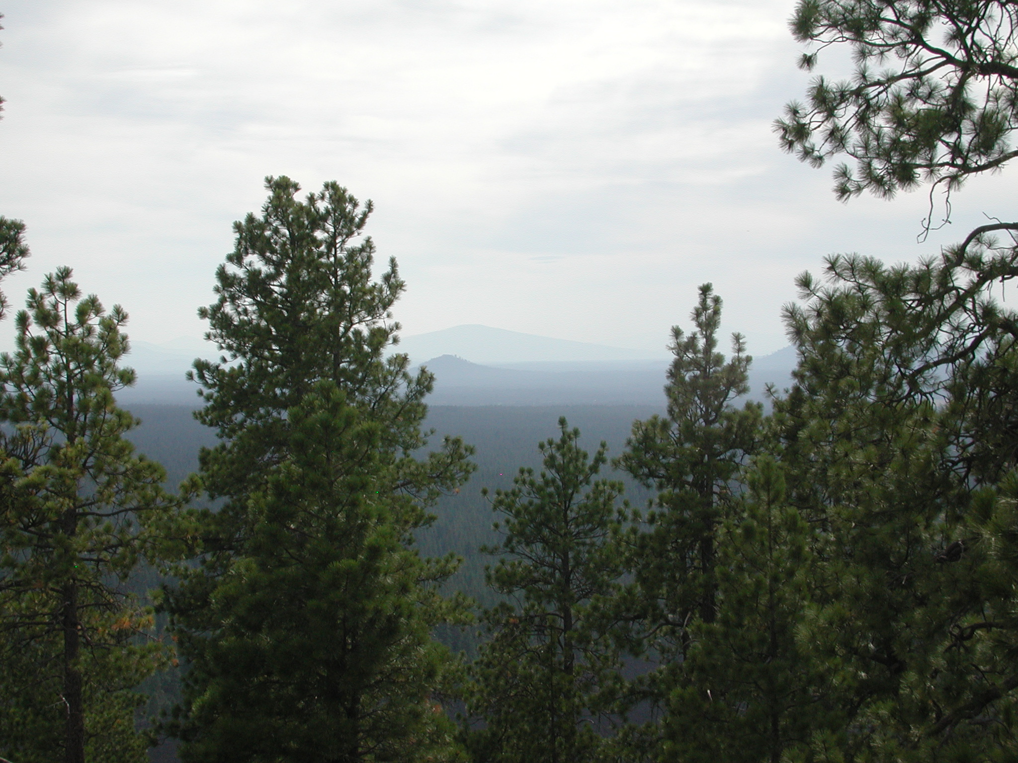 DSCN4781.JPG (1001605 bytes)